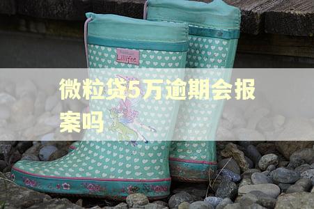 微粒贷5万逾期会报案吗