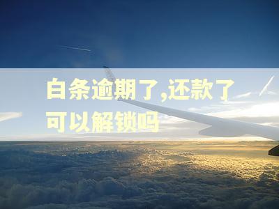 白条逾期了,还款了可以解锁吗