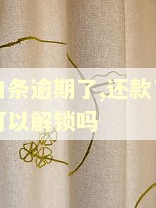 白条逾期了,还款了可以解锁吗