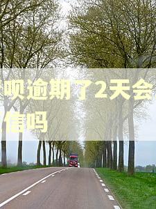 借呗逾期了2天会上征信吗