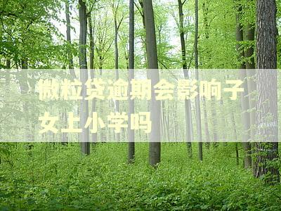 微粒贷逾期会影响子女上小学吗