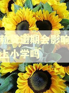 微粒贷逾期会影响子女上小学吗