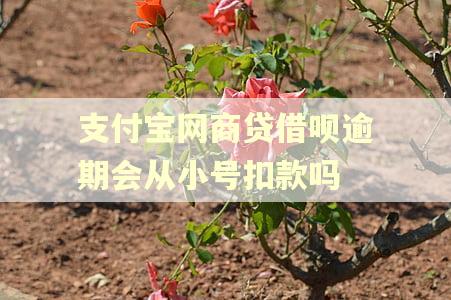 支付宝网商贷借呗逾期会从小号扣款吗
