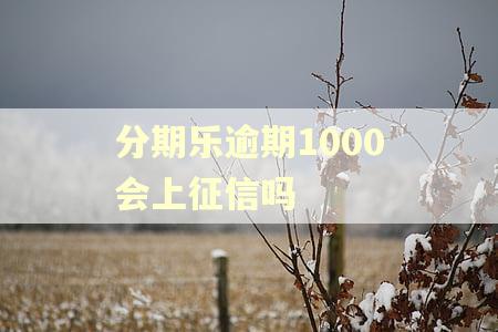 分期乐逾期1000会上征信吗