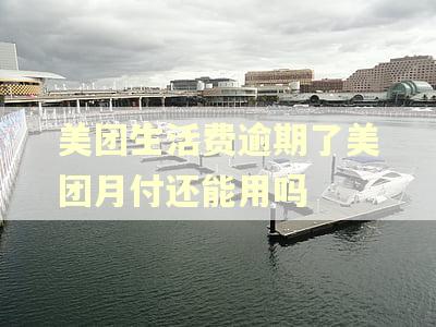美团生活费逾期了美团月付还能用吗