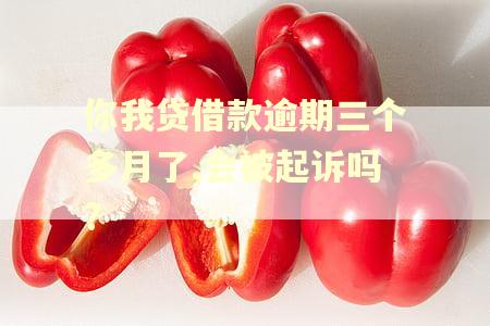 你我贷借款逾期三个多月了,会被起诉吗?