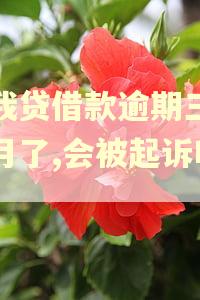 你我贷借款逾期三个多月了,会被起诉吗?