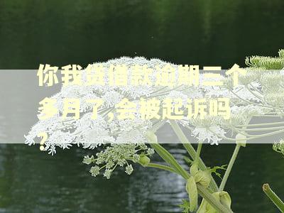 你我贷借款逾期三个多月了,会被起诉吗? 你我贷借款逾期三个多月了,会被起诉吗?