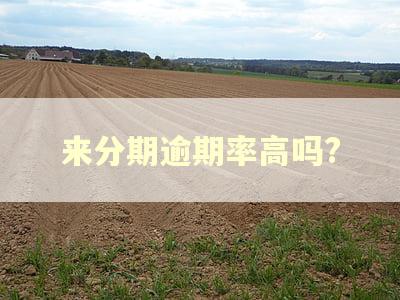 来分期逾期率高吗?