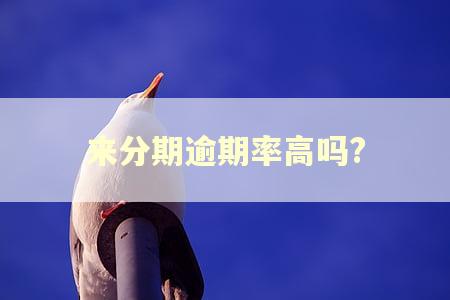 来分期逾期率高吗?