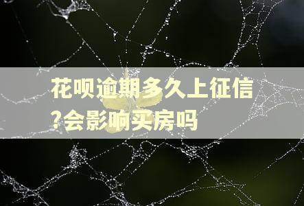 花呗逾期多久上征信?会影响买房吗