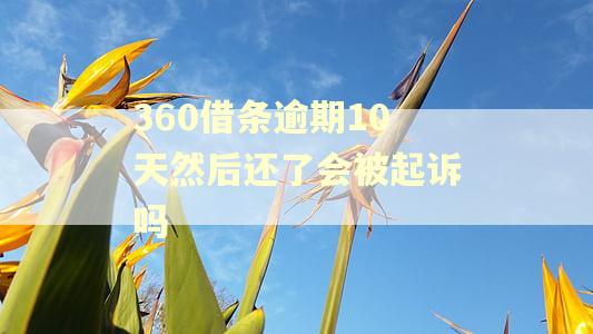 360借条逾期10天然后还了会被起诉吗