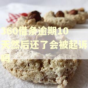 360借条逾期10天然后还了会被起诉吗 360借条逾期10天然后还了会被起诉吗