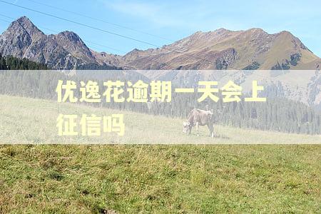 优逸花逾期一天会上征信吗