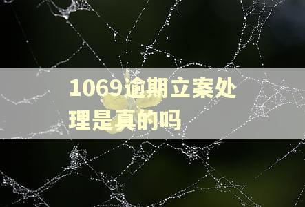 1069逾期立案处理是真的吗