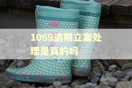 1069逾期立案处理是真的吗