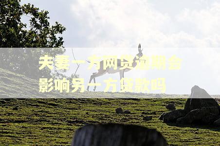 夫妻一方网贷逾期会影响另一方贷款吗 夫妻一方网贷逾期会影响另一方贷款吗