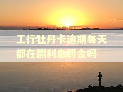 工行牡丹卡逾期每天都在翻利息罚金吗