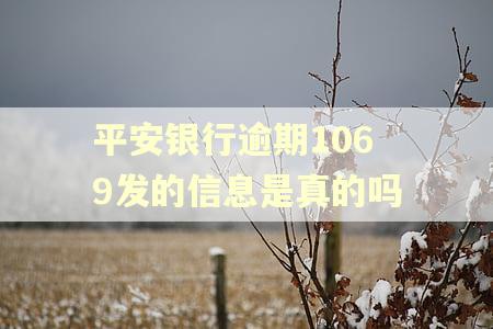 平安银行逾期1069发的信息是真的吗