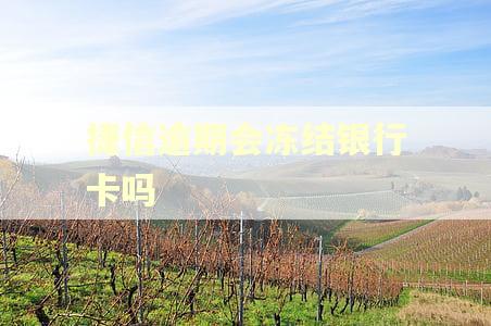 捷信逾期会冻结银行卡吗