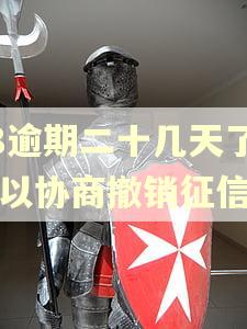 58逾期二十几天了可以协商撤销征信吗