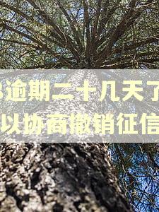 58逾期二十几天了可以协商撤销征信吗