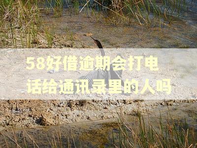 58好借逾期会打电话给通讯录里的人吗