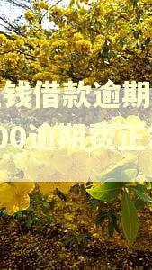 豆豆钱借款逾期一天要200逾期费正常吗