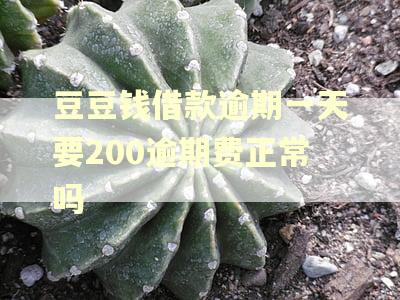 豆豆钱借款逾期一天要200逾期费正常吗