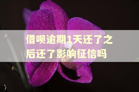 借呗逾期1天还了之后还了影响征信吗 借呗逾期1天还了之后还了影响征信吗