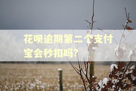 花呗逾期第二个支付宝会秒扣吗?