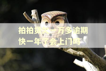 拍拍贷欠一万多逾期快一年了会上门吗