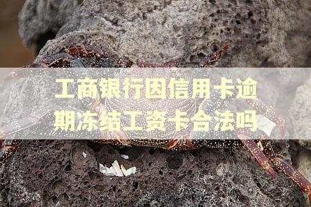 工商银行因信用卡逾期冻结工资卡合法吗 工商银行因信用卡逾期冻结工资卡合法吗