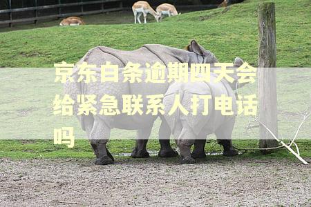 京东白条逾期四天会给紧急联系人打电话吗