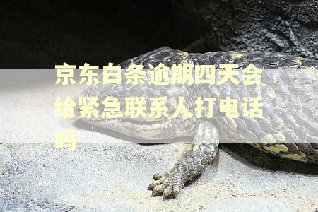 京东白条逾期四天会给紧急联系人打电话吗 京东白条逾期四天会给紧急联系人打电话吗
