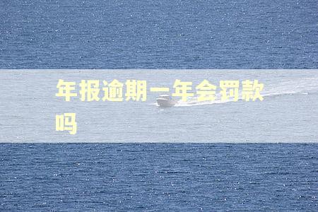 年报逾期一年会罚款吗
