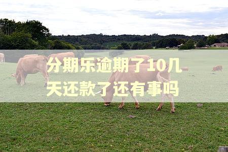 分期乐逾期了10几天还款了还有事吗