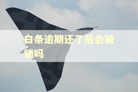 白条逾期还了后会被锁吗