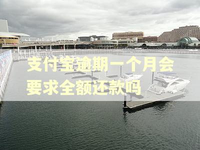 支付宝逾期一个月会要求全额还款吗