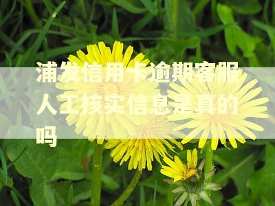 浦发信用卡逾期客服人工核实信息是真的吗