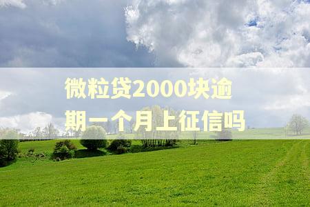 微粒贷2000块逾期一个月上征信吗