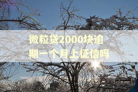 微粒贷2000块逾期一个月上征信吗