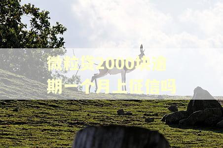 微粒贷2000块逾期一个月上征信吗 微粒贷2000块逾期一个月上征信吗