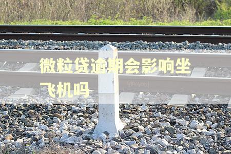微粒贷逾期会影响坐飞机吗