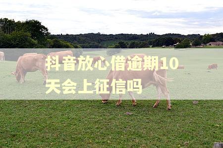 抖音放心借逾期10天会上征信吗