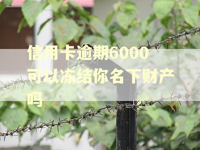 信用卡逾期6000可以冻结你名下财产吗