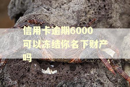 信用卡逾期6000可以冻结你名下财产吗