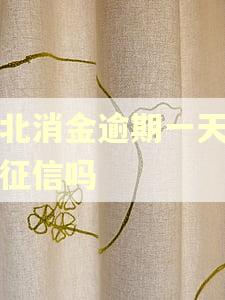 湖北消金逾期一天会上征信吗