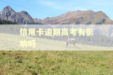 信用卡逾期高考有影响吗