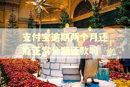 支付宝逾期两个月还能正常分期还款吗